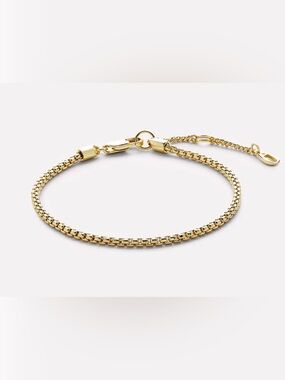 Danay Box Chain Ana Luisa Bracelet